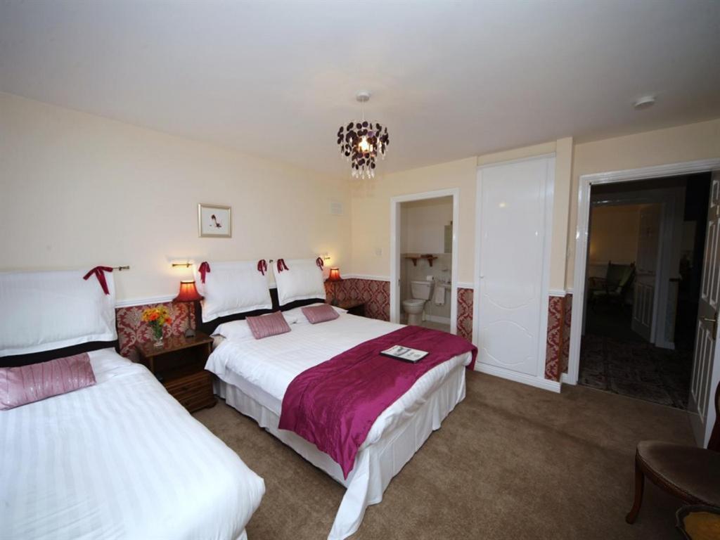 เลานาร์ด เฮาส์ Bed & Breakfast คิลเคนนี ภายนอก รูปภาพ